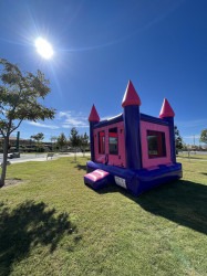 IMG 7662 1694037693 Princess Castle Bounce House