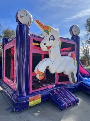 IMG 7921 1668718228 Unicorn Bounce House