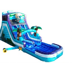 IMG 9450 1743735206 Tiki dual Slide (Water or dry slide))
