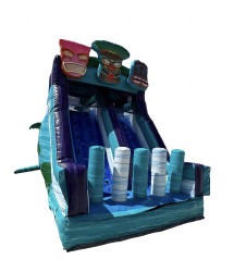 IMG 9452 1743735206 Tiki dual Slide (Water or dry slide))