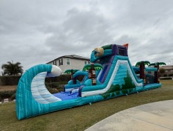 IMG 9956 1746379090 TIKI OBSTICAL COURSE (water or dry slide)